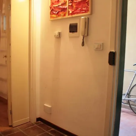 Baccina Cozy